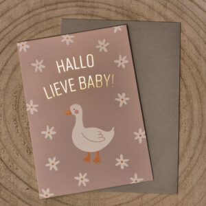 Wenskaart hallo lieve baby